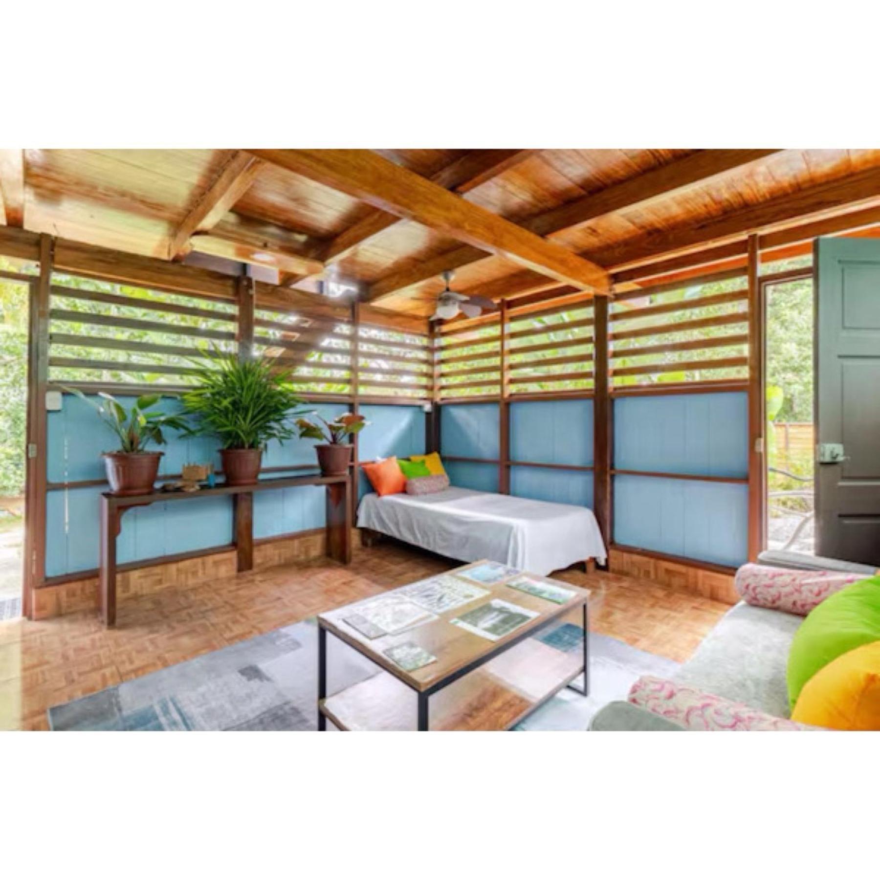 Casa Osa Lion Villa Puerto Jimenez Luaran gambar
